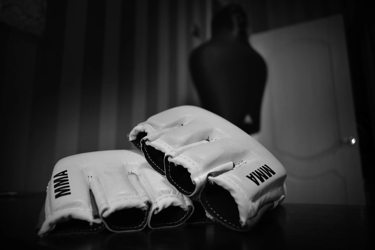 Find Local MMA Courses | Training Near You